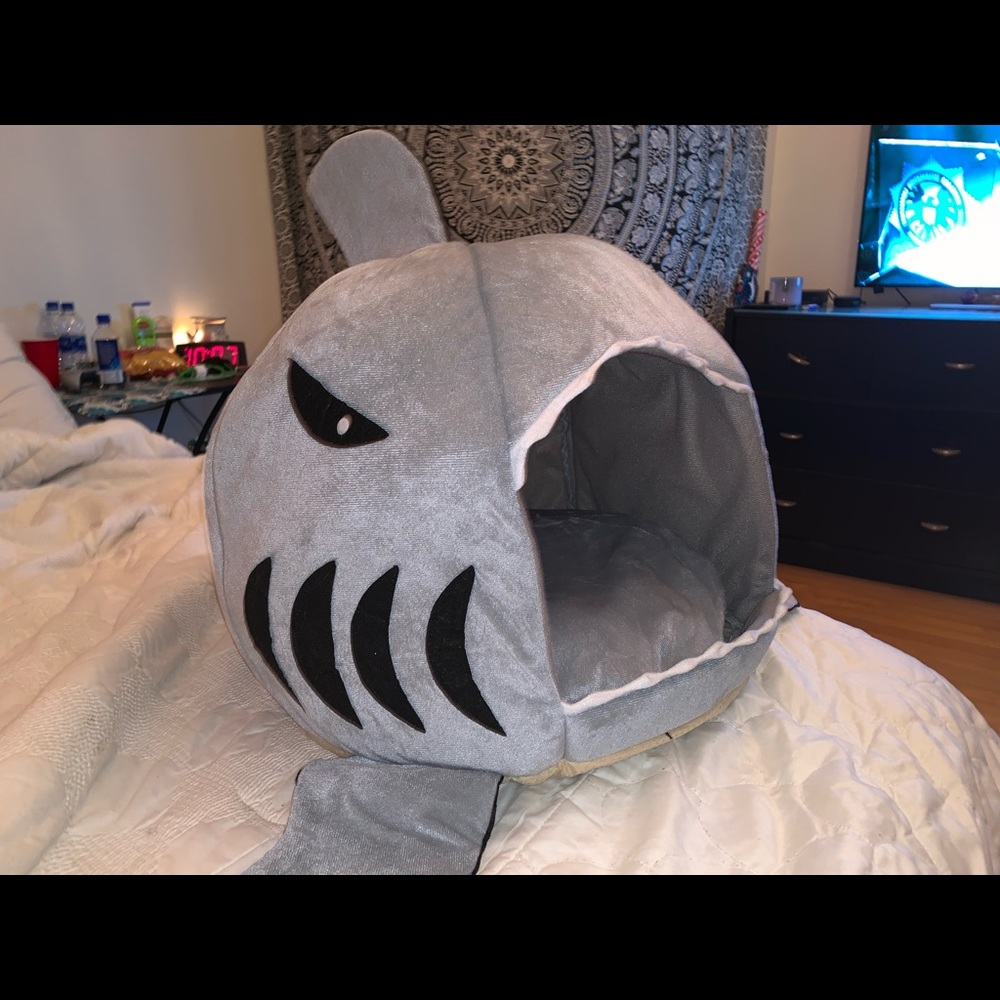 Dog/cat bed